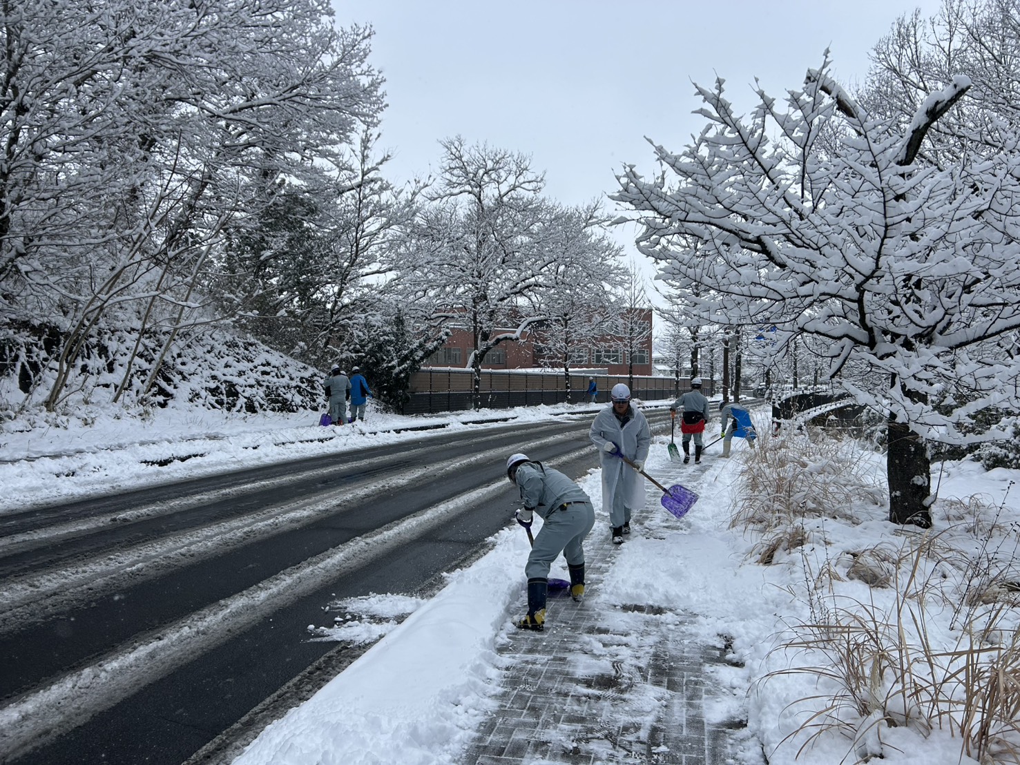 除雪作業を行いました