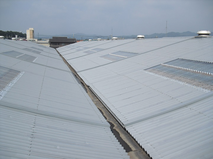 工場屋根改修